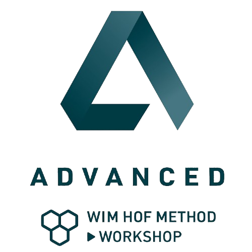 vc advanced logo workshop removebg preview 1